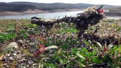 Ömerli Barajı’nın son durumu havadan görüntülendi