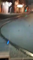 Oiseaux morts à cause des feux d’artifice du Nouvel An (Rome)