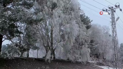 - Kars'ta, soğuktan sis ve kırağı oluştu