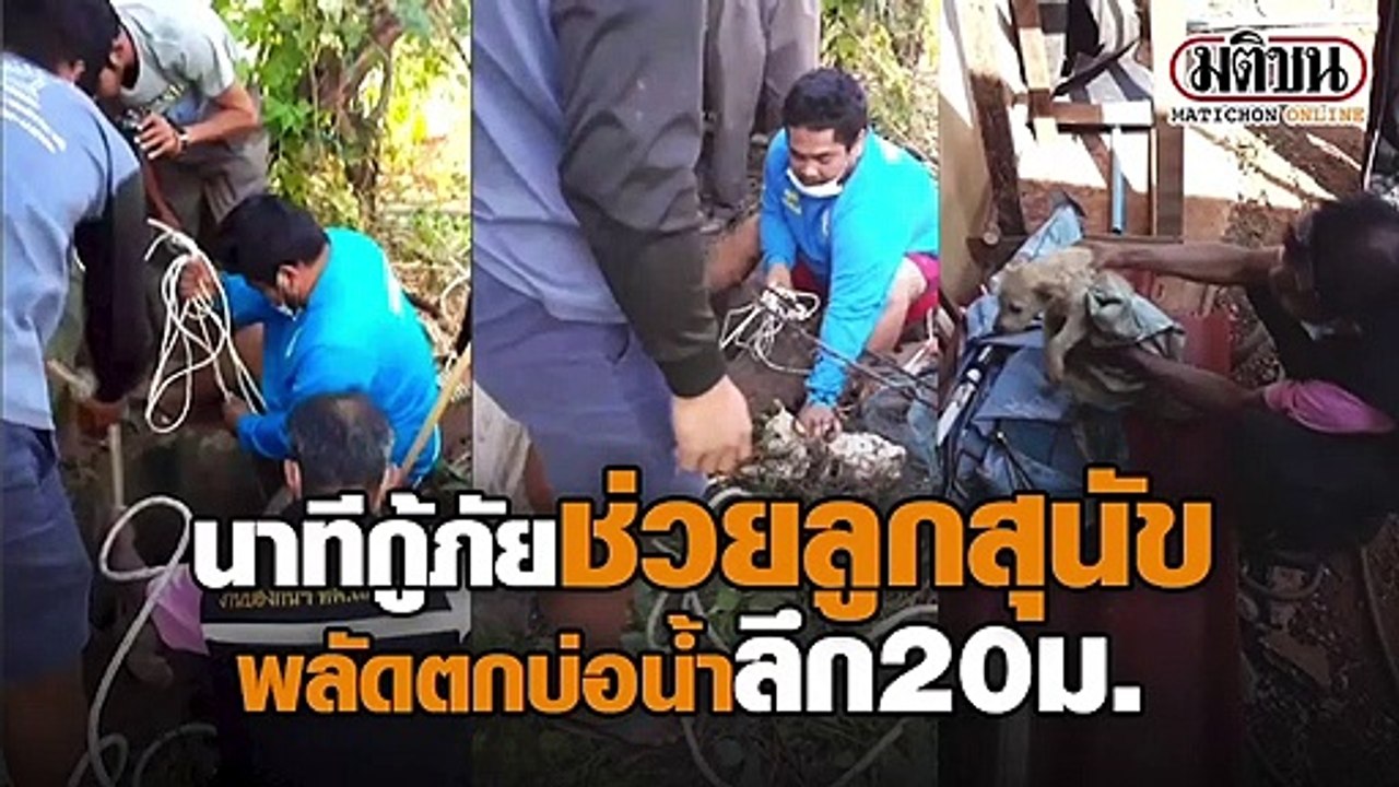 นาทีชีวิต! กู้ภัยช่วยลูกสุนัขพลัดตกบ่อน้ำลึก
