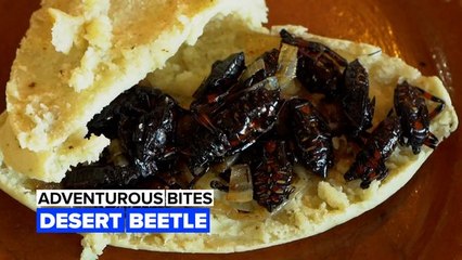 Adventurous bites: Have you ever tried to eat beetles?