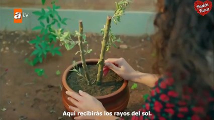 Hercai tercera temporada Cap 46 o 08 parte 2/3  sub español
