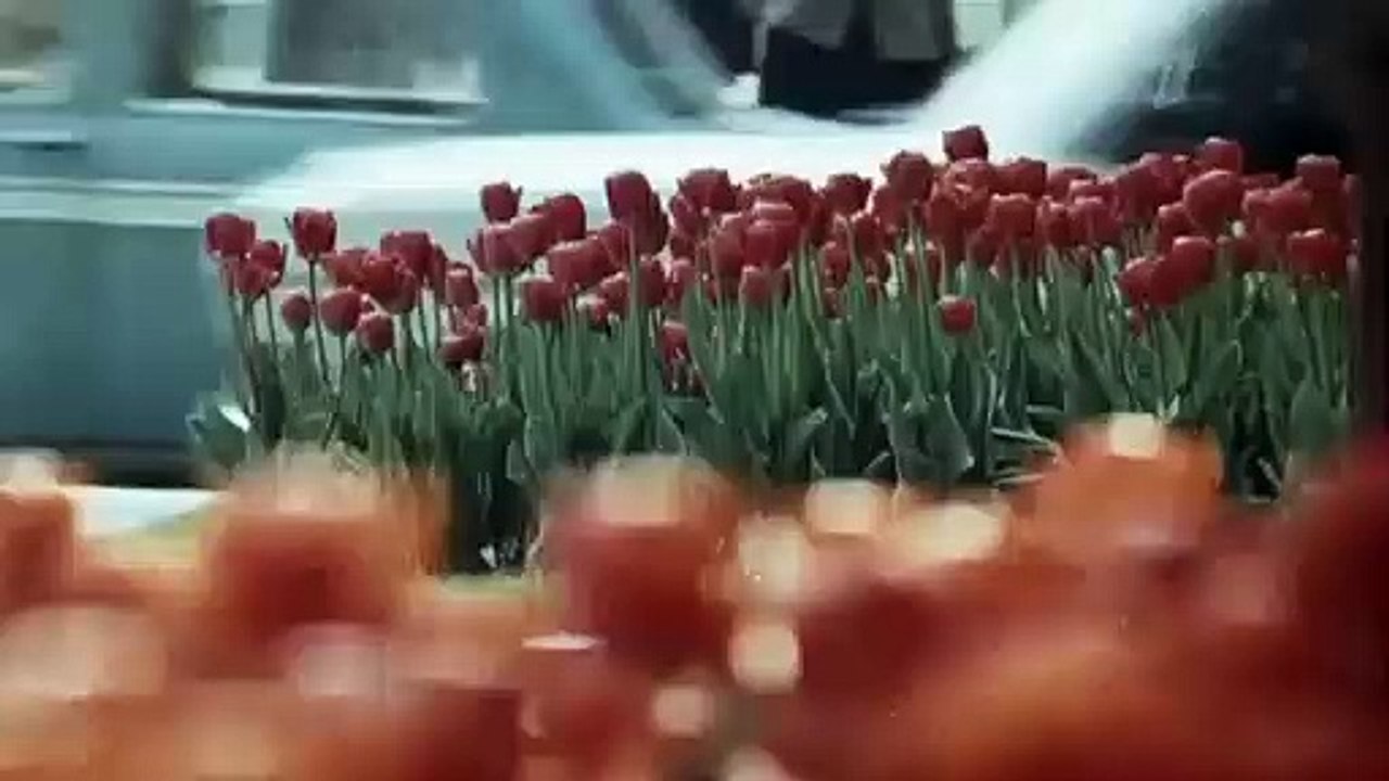 Солнечный круг - 4 серия