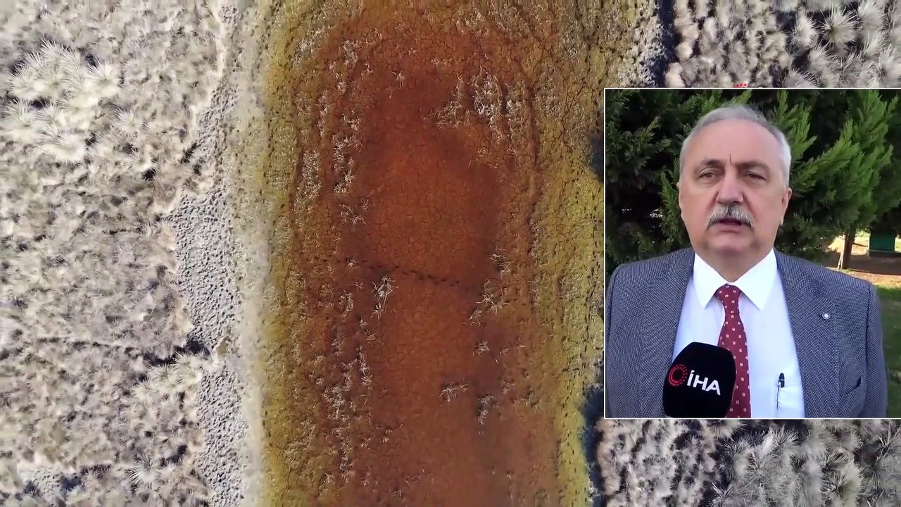 UNESCO Dünya Geçici Miras Listesi’nde Yer Alan Kızılırmak Deltası Kuruyor