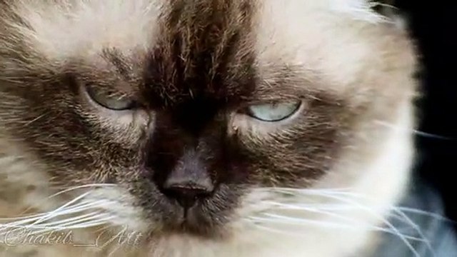 #rap#hiphop #music #rapper #trap #beats #rapmusic #Artist #love #producer #newmusic #hiphopmusic #freestyle #rappers #soundcloud #art #explorepage #spotify #follow #Youtube #dj #like #trapmusic #rnb #hiphop #bhfyp #beat #musicproducer #musician #bhfyp