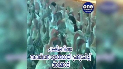 കേരളം; പക്ഷിപ്പനിയെ സംസ്ഥാന ദുരന്തമായി പ്രഖ്യാപിച്ച് സർക്കാർ | Oneindia Malayalam