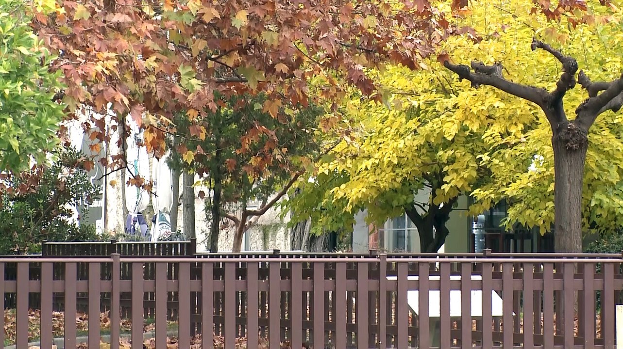 Εμπορικός σύλλογος Θήβας