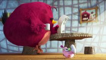 The Angry Birds Movie 2 (2019) - Official  Hatchling Eggs  Clip