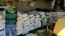 Desmantelada una red dedicada a robar productos fitosanitarios en Murcia