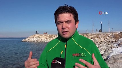 Acil Tıp Doktoru Dondurucu Havada Van Gölü’nde Yüzüyor