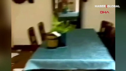 3.5 metrelik dev piton eve girdi!