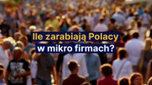 Ile zarabiają Polacy w mikro firmach?