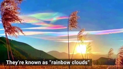 This Is How Those Incredible and Rare ‘Rainbow Clouds’ Form