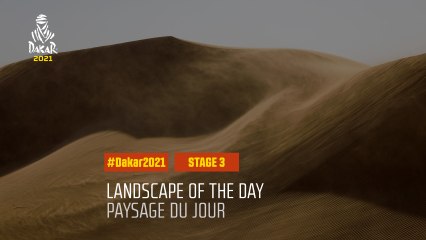 #DAKAR2021 - Étape 3 / Stage 3 - Wadi Ad-Dawasir / Wadi Ad-Dawasir - Landscape of the Day