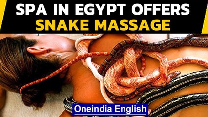 : Spa in Egypt offers snake massage, video creeps out netizens | Oneindia News
