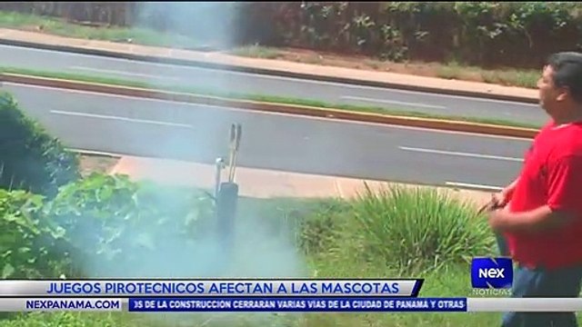 Juegos pirotécnicos afectan a las mascotas - Nex Noticias