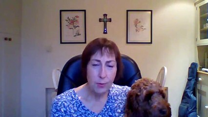 Young Volunteer of the Year Award