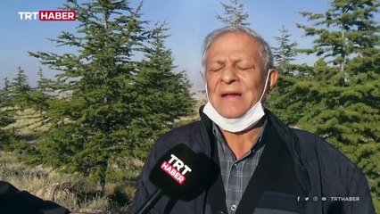 Bozkırın ortasında 20 yıllık emek ormana dönüştü