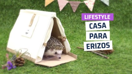 [CH] Casa portátil para erizos