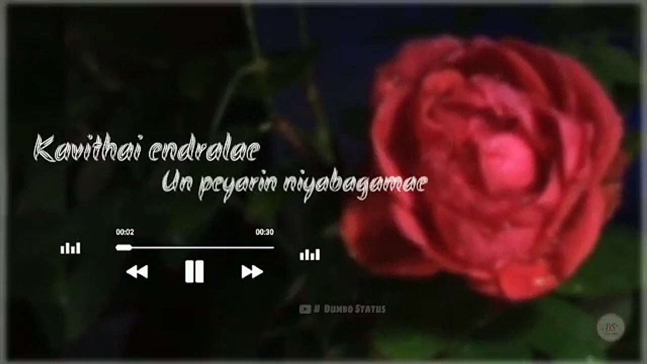 Kavithai Endrale  Whatsapp Tamil Status  Dumbo Status