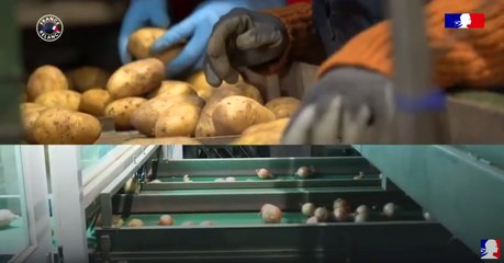 Fibre : la ferme de la Motte s’est développée avec l’aide du plan France Relance