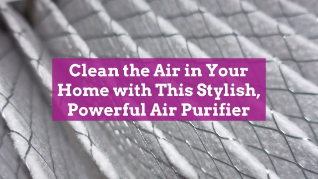 Clean the Air in Your Home with This Stylish, Powerful Air Purifier