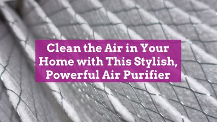 Clean the Air in Your Home with This Stylish, Powerful Air Purifier