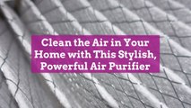 Clean the Air in Your Home with This Stylish, Powerful Air Purifier
