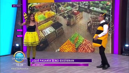 Descubre al lado de Sergio la importancia de las abejas en el mundo. | Venga La Alegría