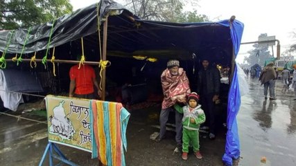Watch how farmers are braving cold wave and rain at Delhi's Singhu border 