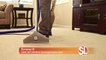 Zerorez ® floor cleaning expert, Scott Arkon says having a healthy home begins with carpet cleaning