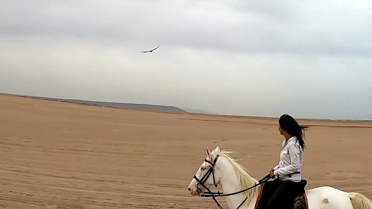 Reiten mit Moni 26.12.2020_Final