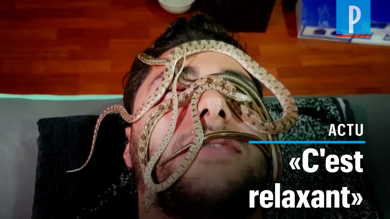 Des massages aux serpents vivants dans un spa en Egypte