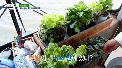 버스 안에 텃밭이 있다!( ͝° ͜ʖ͡°) 방방곡곡 여행이 특별한 이유 ♫