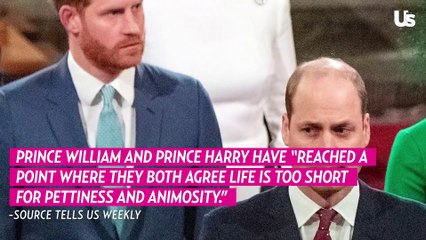 How William And Harry Have Started To Repair Their Fractured Bond