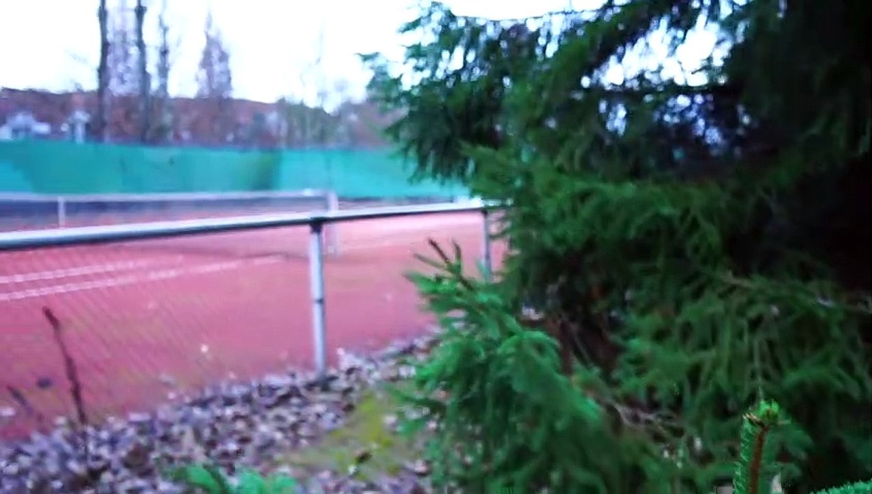 Auf 75.000m²! Regionalligist NEU Viktoria 89 plant neues Leistungs-Trainingszeitraum