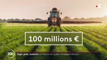 Agriculture : 100 millions d'euros pour produire nos protéines végétales