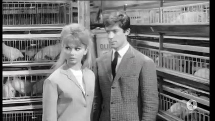 Franco e Ciccio - Pugni pupe e marinai (1961) Secondo Tempo