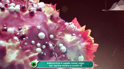 Adenovírus é usado como vetor em vacina contra a covid-19
