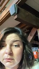 Bird Comes Through Kitchen Window