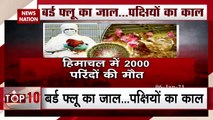 Bird Flu: Birds are dying in many parts of India due to bird flu