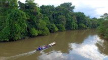 Jungla del Amazonas: Gran reserva mundial de recursos medicinales