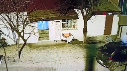 Darende'de domuzlar şehre indi