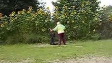 Doggydance