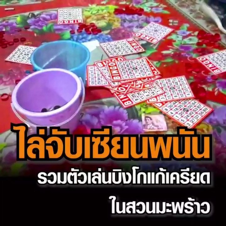 ไล่จับเซียนพนันรวมตัวเล่นบิงโกแก้เครียดโควิดในสวนมะพร้าว แต่เจอตำรวจวิ่งหนีกระเจิง เหลือแต่ผู้สูงอายุไม่สวมแมสก์