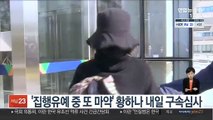 '집행유예 중 또 마약' 의혹 황하나 내일 구속심사