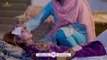 #SANWAL - Full Video Song - Shafaullah Khan Rokhri - Saraiki - Love Song - Rokhri Production