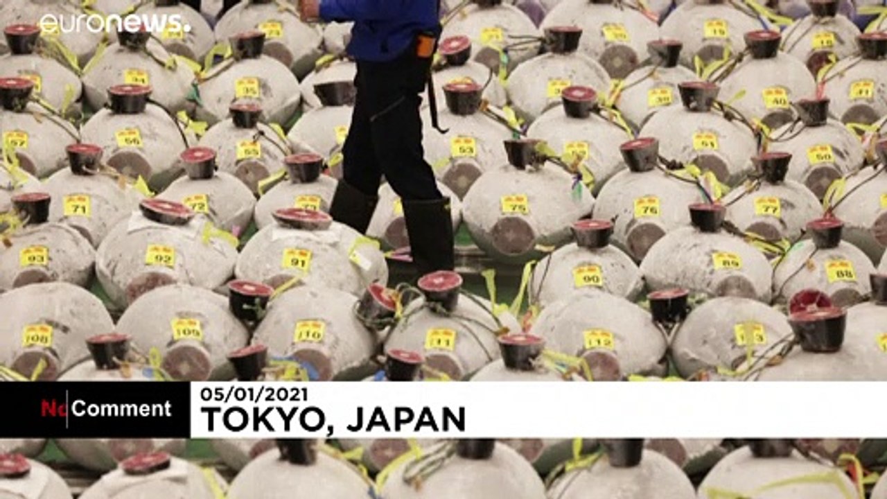 Thunfisch für 21 millionen yen