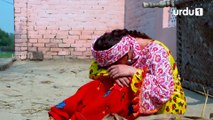 Mujhay Jeenay Do - Episode 15 | Urdu1 Drama | Hania Amir, Gohar Rasheed, Nadia Jamil, Sarmad Khoosat