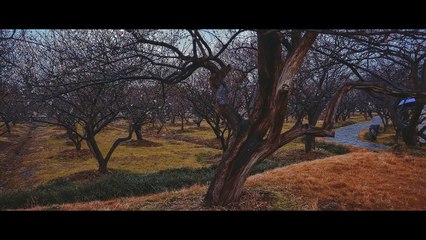 Standard Chinese (Audio), Biographic Information Module: Unit-08, Production Tape-01